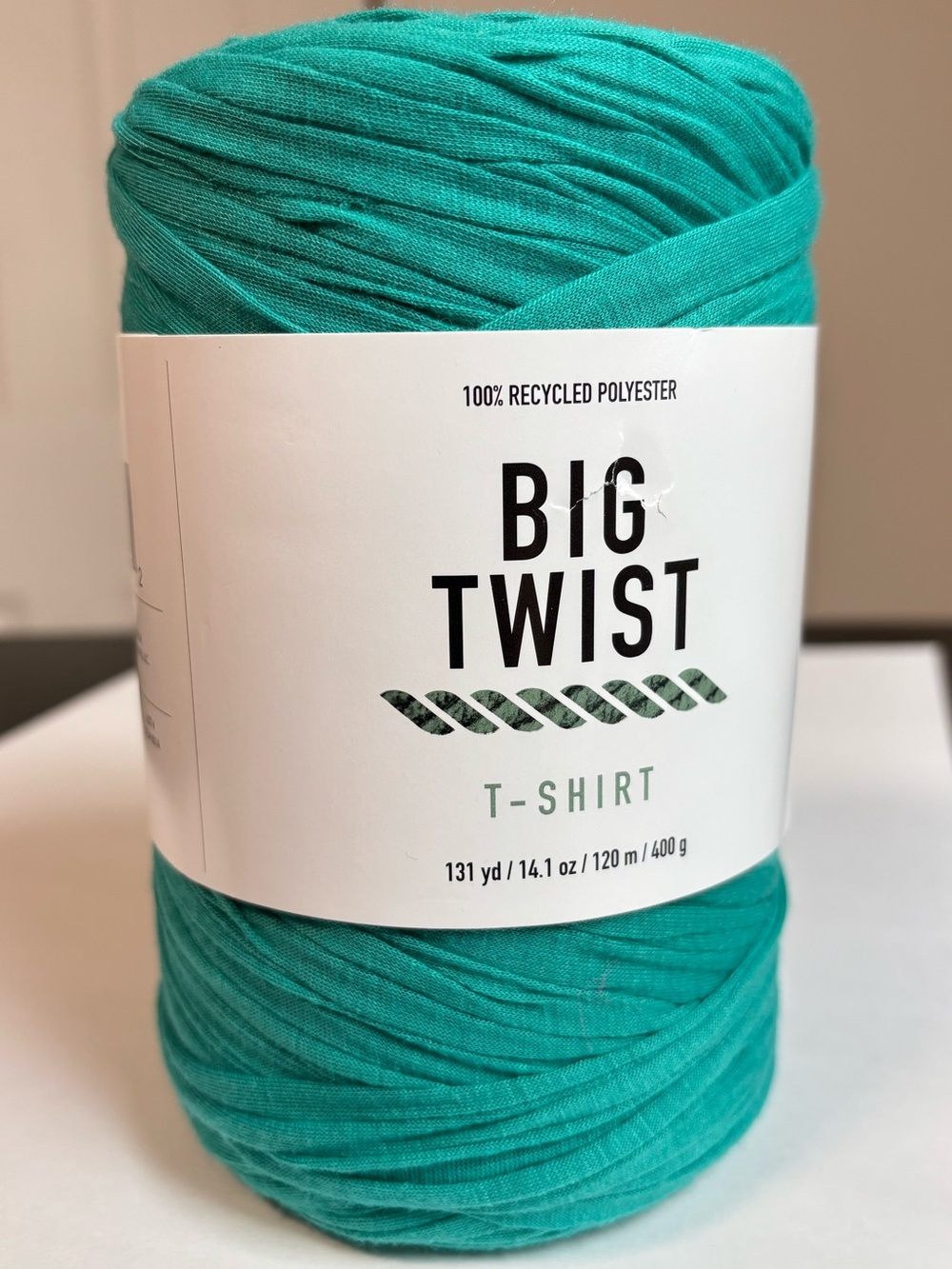 Big Twist Super Bulky T-Shirt Yarn, Green Agate, 131 yd